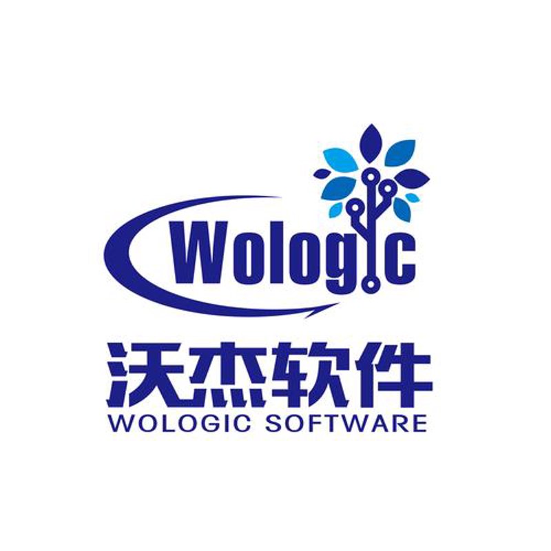 企业软件定制：打造专属高效解决方案