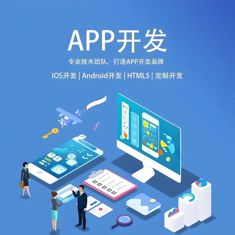 上海软件开发:引领未来科技的风向标